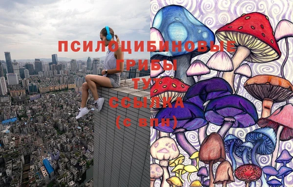 марки nbome Алексеевка