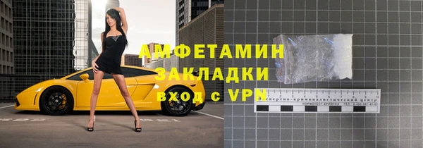 хмурый Аркадак