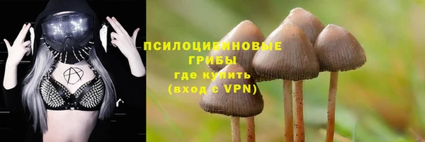 спайс Алзамай
