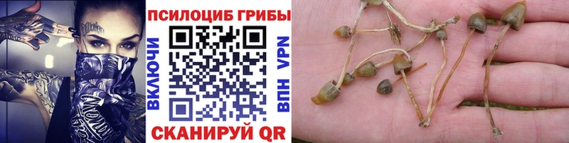 Галлюциногенные грибы ЛСД  мега ONION  shop формула  Ивангород 
